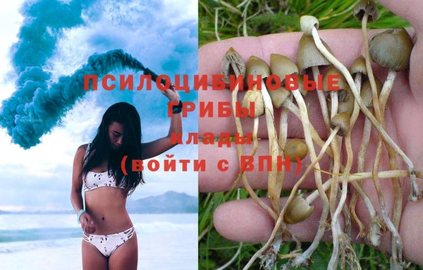 мескалин Дмитриев