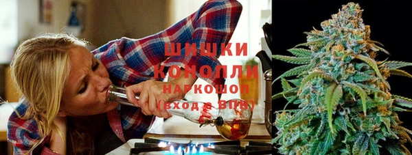 мдпв Дмитровск