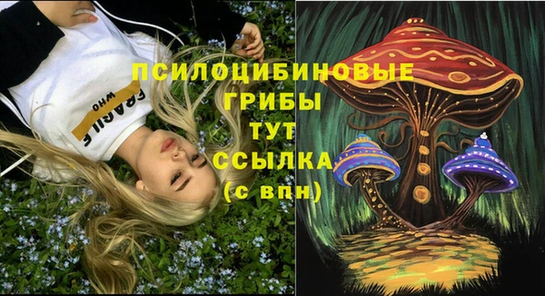 мдпв Дмитровск