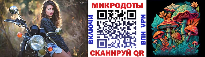 Псилоцибиновые грибы Magic Shrooms  хочу   Новошахтинск 