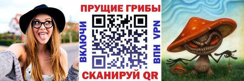 Галлюциногенные грибы ЛСД Новошахтинск